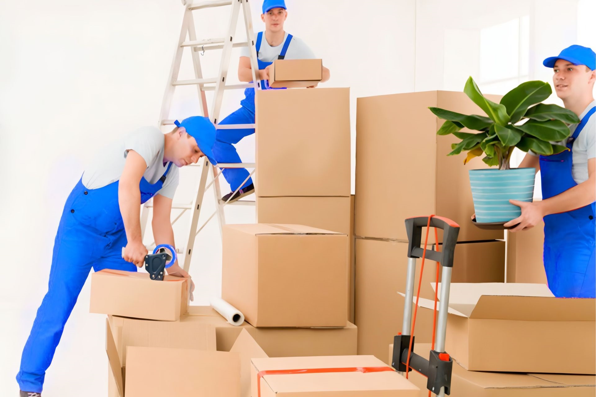 Packers & Movers